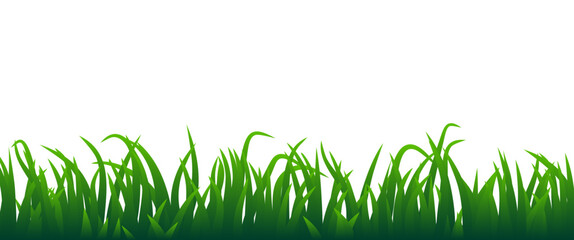 Green grass vector on white background