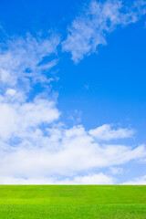 Fototapeta premium 緑の草原と青空