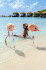 Asian women on the beach with pink flamingos at Aruba, flamingo at the beach in Aruba Island Caribbean. © Chirapriya