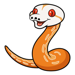 Fototapeta premium Cute albino sunfire tiger het genetic stripe reticulated python