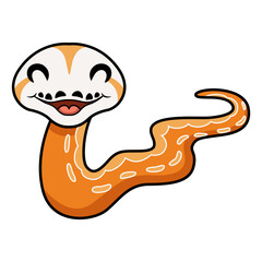 Cute albino sunfire tiger het genetic stripe reticulated python