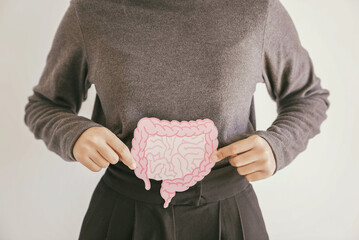Woman hands holding intestine shape, healthy bowel digestion, leaky gut, probiotic and prebiotic for gut health, colon, gastric, stomach cancer concept