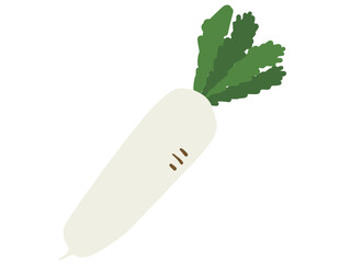 かわいい1本の大根／手描きイラスト素材