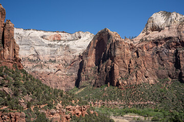 Zion National Park during the summer. Utah, USA. 