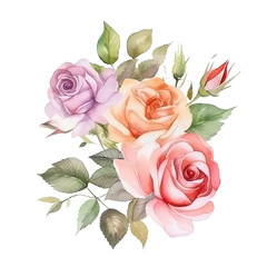 bouquet of roses in the style of romantic watercolor isolated on a transparent background