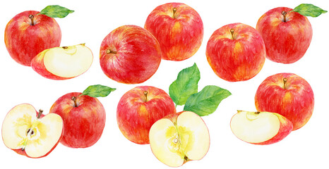 リンゴの水彩画　さまざまなリンゴのカットイラスト素材集