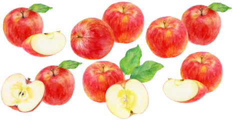 Fotobehang リンゴの水彩画　さまざまなリンゴのカットイラスト素材集 © よしだなみこ / Namiko Y