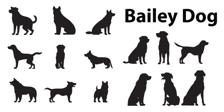 A set of Bailey dogs vector illustrations.