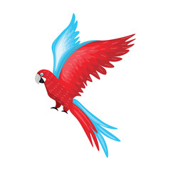 Beautiful flying macaw on white background