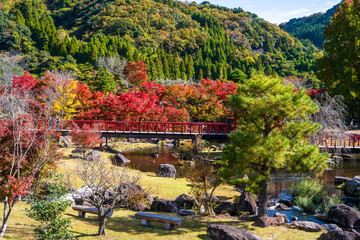 美しく紅葉に映える日本庭園
A Japanese garden with beautiful autumn...