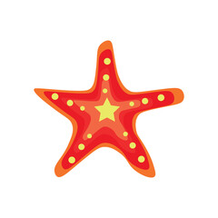 Sea starfish on white background