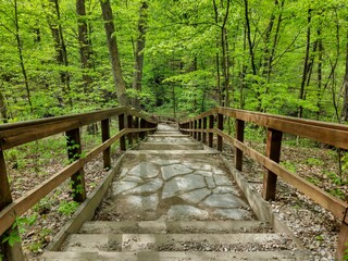 Highbanks Metro Park Sunlit Descending Wooden Steps in Spring Forest