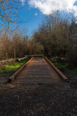 Obraz premium Jackson Bottom Wetlands Preserve, Hillsboro, Oregon