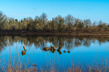 Jackson Bottom Wetlands Preserve, Hillsboro, Oregon