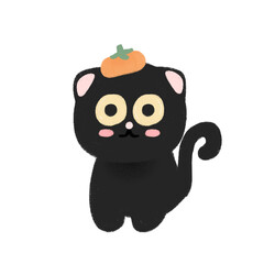 black cat in Halloween festival on transparent background