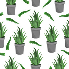 Seamless pattern of an aloe flower in a flower pot and aloe leaves on a white background.Vector natural pattern.
