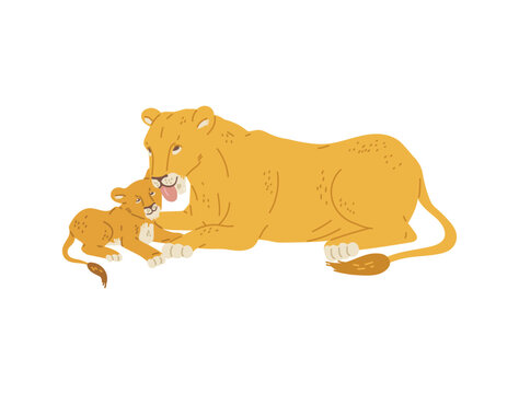 Mother lioness licking her little cub, flat vector illustration isolated on white background.