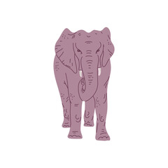 Standing elephant with two tusks flat style, vector illustration