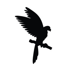 Parrot black monochrome contour silhouette, flat vector illustration isolated.