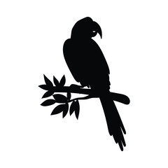 Black monochrome silhouette of tropical macaw parrot flat vector isolated.