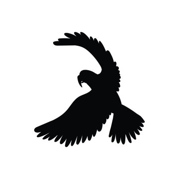 recommend clip art: Flying parrot bird black contour silhouette flat vector illustration isolated.