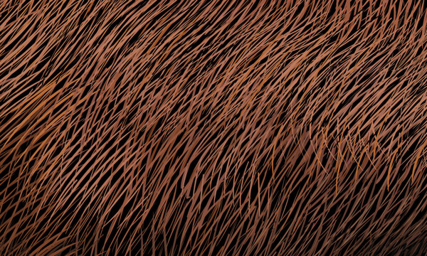 Complex abstract pattern of red and brown lines on a black background. Arbitrary composition, copy space. Vector illustration, EPS 10.