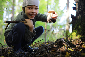 The forester collects mushrooms in the forest. Harvesting wild mushrooms. Hike to the forest park...