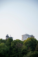 Sky, buildings and trees in the suburbs of Tokyo