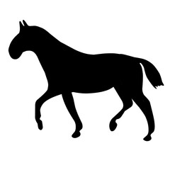 Horse Silhouette 