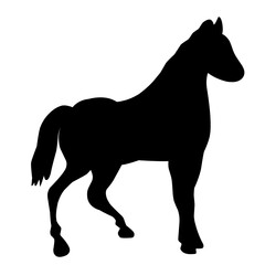 Horse Silhouette 