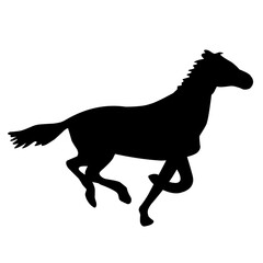 Horse Silhouette 