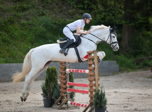 Show jumper with a white horse from the right side as a whole during the flight phase over an obstacle..