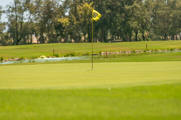 Obraz premium golf course in the morning
