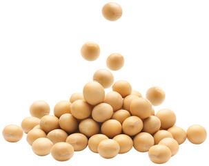 Soybean falling on heap of soybeans - 604783077