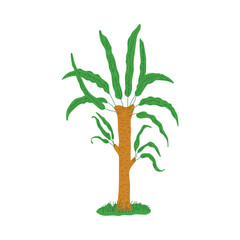 Prehistoric plant palm tree of Jurassic period flat vector illustration isolated.