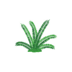 Fern green prehistoric plant of Jurassic period flat vector illustration isolated.