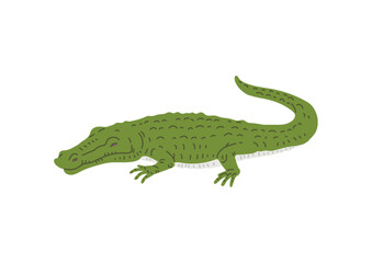 Crocodile animal flat vector illustration isolated on white background.