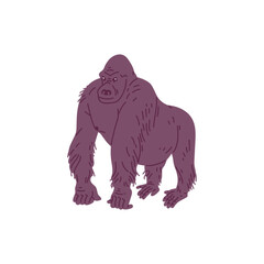 African gorilla ape standing flat cartoon vector illustration isolated on white.