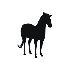 African Zebra standing black silhouette vector illustration isolated on white.