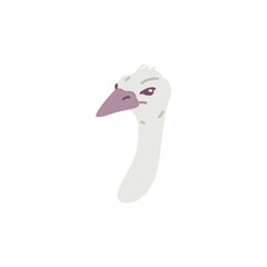 Head of African ostrich bird flat style, vector illustration
