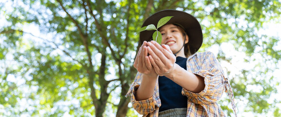 environment Earth Day In the hands of trees growing seedlings.Female hand holding tree on nature...