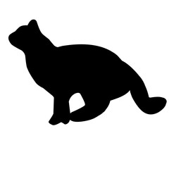 Cat Silhouette