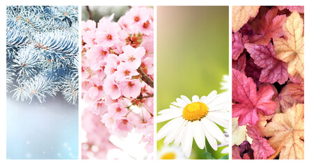Four seasons of year. Set of vertical nature banners with winter, spring, summer and autumn scenes