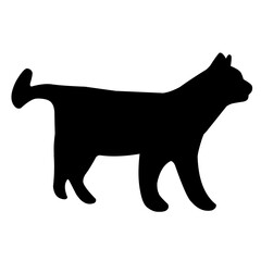 Cat Silhouette