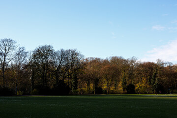 Trees, sky and field in a park