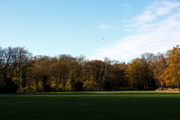 Obraz premium Trees, sky and field in a park