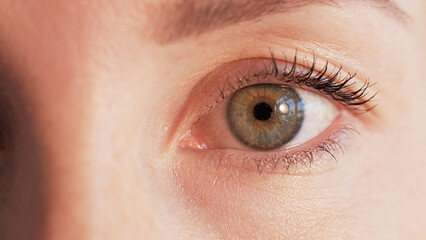 Eye closeup. Iris examination. Ophthalmology health. Laser surgery. Woman face staring with...