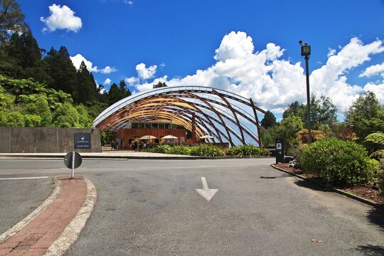 Waitomo, New Zealand - 16 Dec 2018: Waitomo Cave