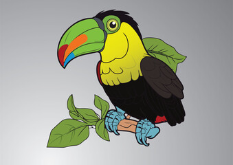 toucan bird on a branch