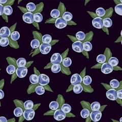 Cute vector seamless pattern with blueberries and leaves on dark background hand drawn vector illustration